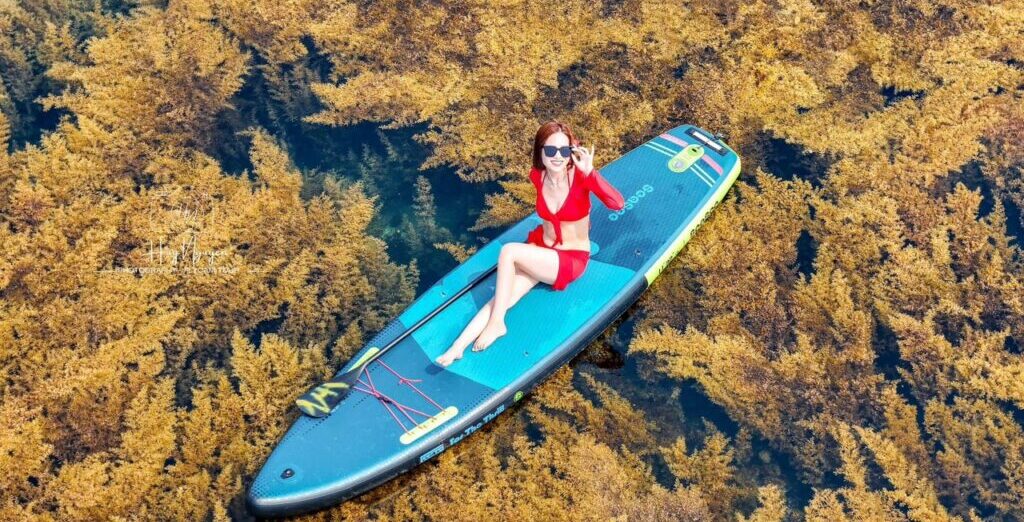 Tour Hòn Khô Trong Ngày