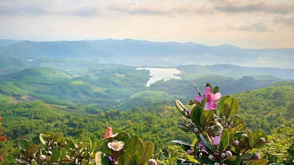 Tour Quy Nhơn La Vuông (0944.107.174)